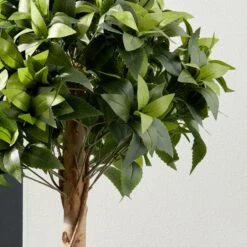 Elements Artificial 100cm Bay Tree 3 Elements Artificial 100cm Bay Tree -Elements 1000183681 alt01