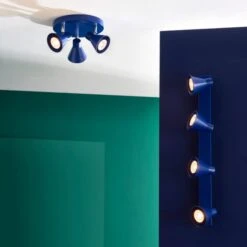 Elements Briggs 4 Light Adjustable Spotlight -Elements 30894865 alt09