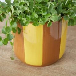 Elements Striped Ceramic Plant Pot -Elements 30943035 alt01
